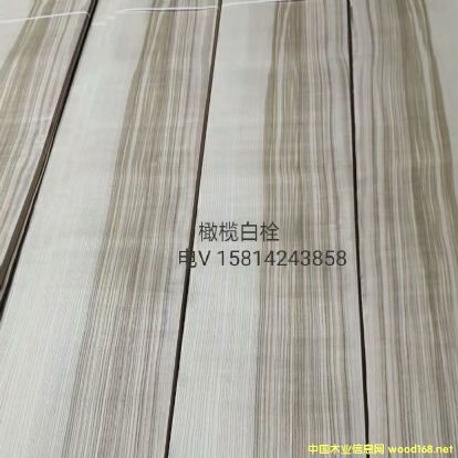 優質天然橄欖白栓木皮