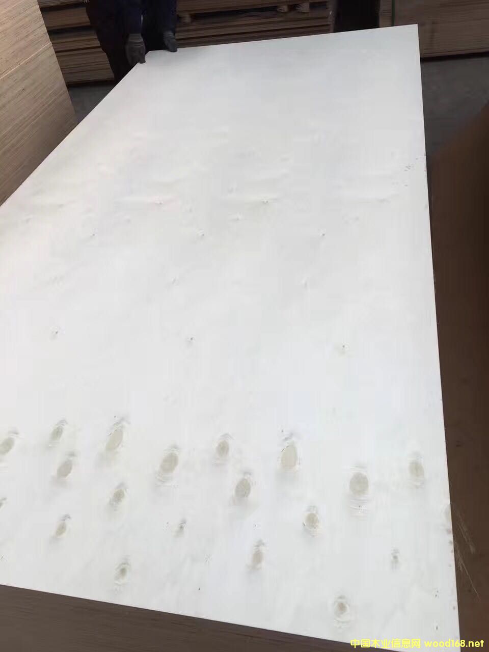 [] 5-25ӼҾ߰壬ģB