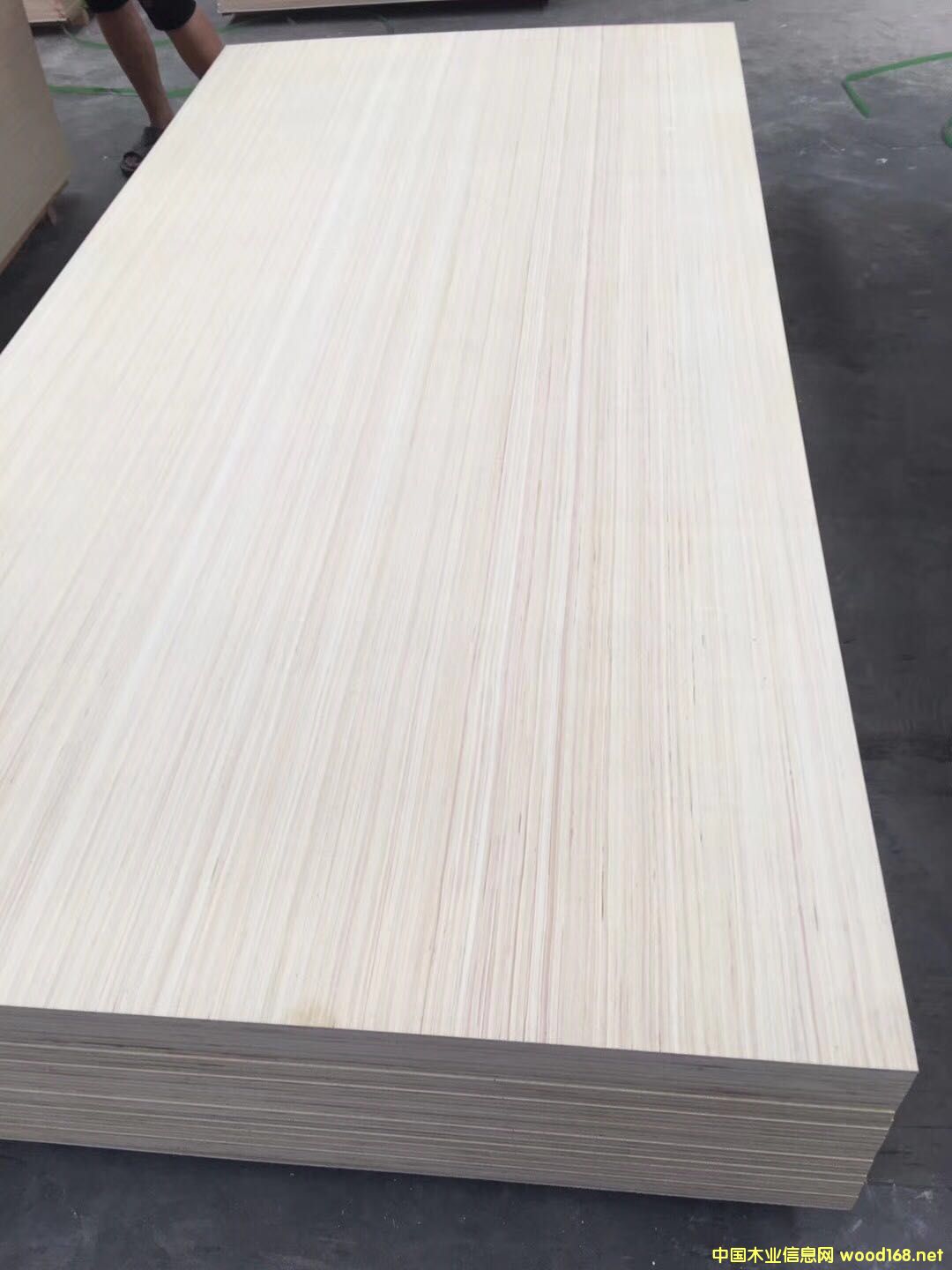 [] 5-25ӼҾ߰壬ģB