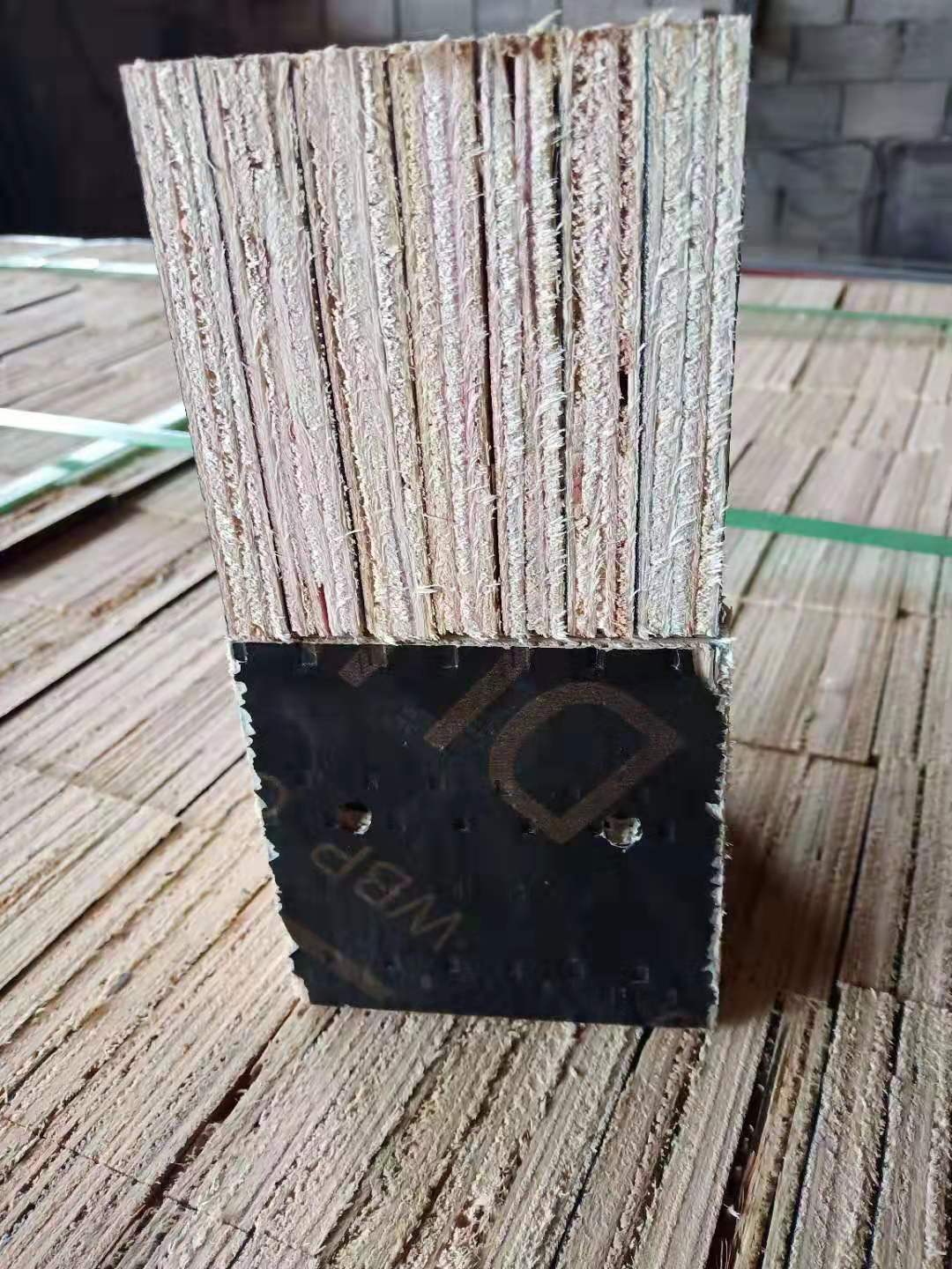 ģ_