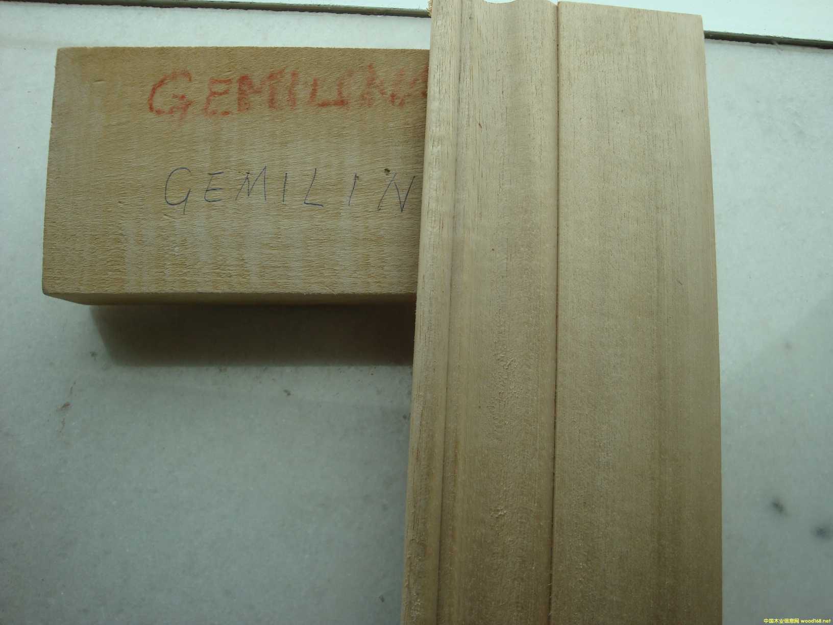 [] ľľģeʯľGMELINA