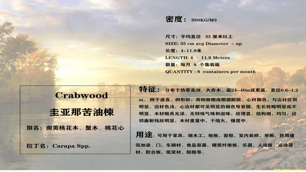 灆ǿ